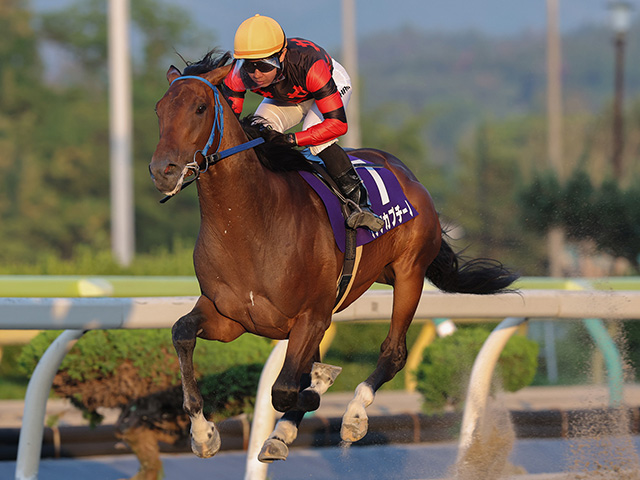 【水沢・東北優駿結果】リケアカプチーノが断然人気に応え7馬身差V