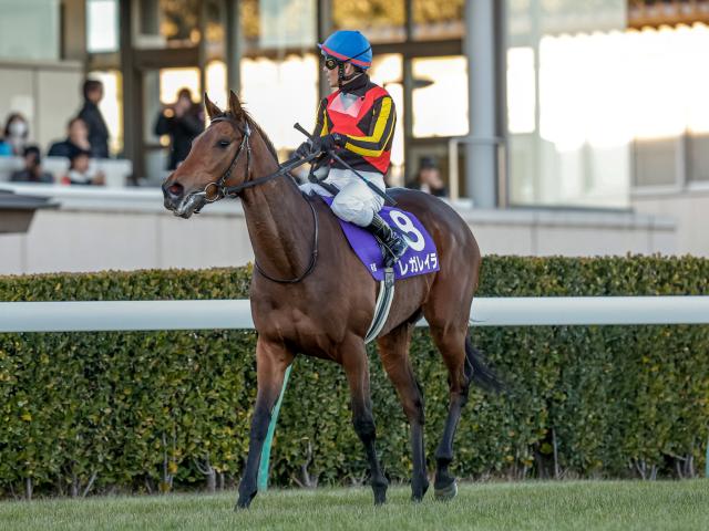 上半期の総決算・宝塚記念など3重賞/今週の競馬界の見どころ