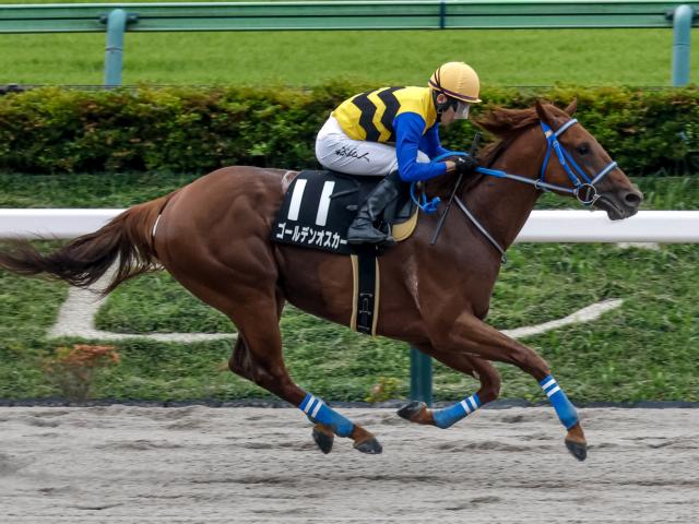 【小金井特別レース後コメント】ゴールデンオスカー石川裕紀人騎手ら