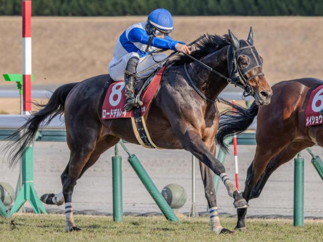【宝塚記念】ロードHCが12年ぶりのJRA・GI制覇へ 大阪杯2着のロードデルレイ参戦