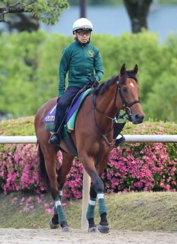 【宝塚記念】ファン投票1位のベラジオオペラ　1週前追いで好時計