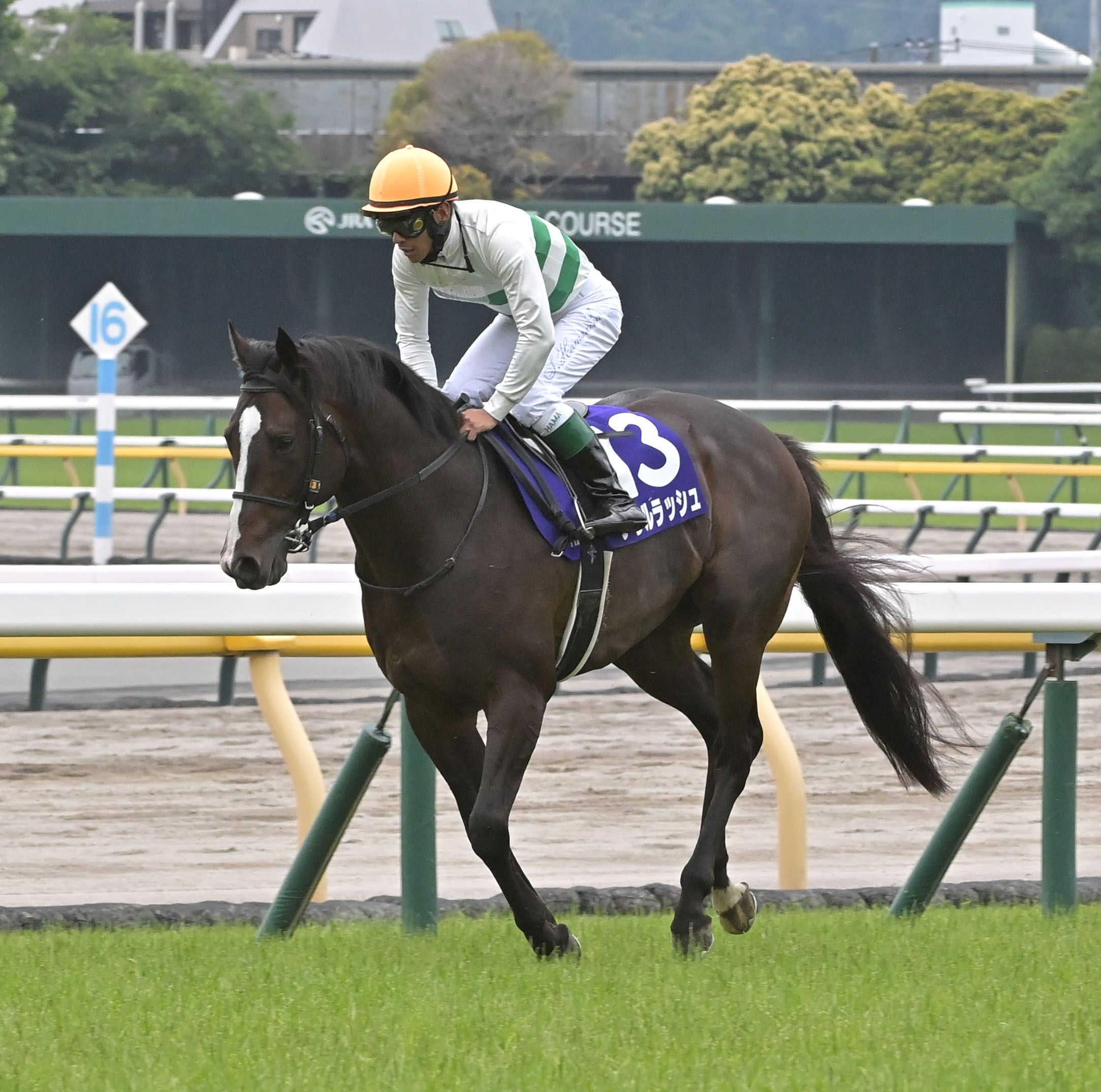 【安田記念】１番人気ソウルラッシュ　Ｇ１連勝かなわず３着　池江師「前をかわせずに後ろからも差された」