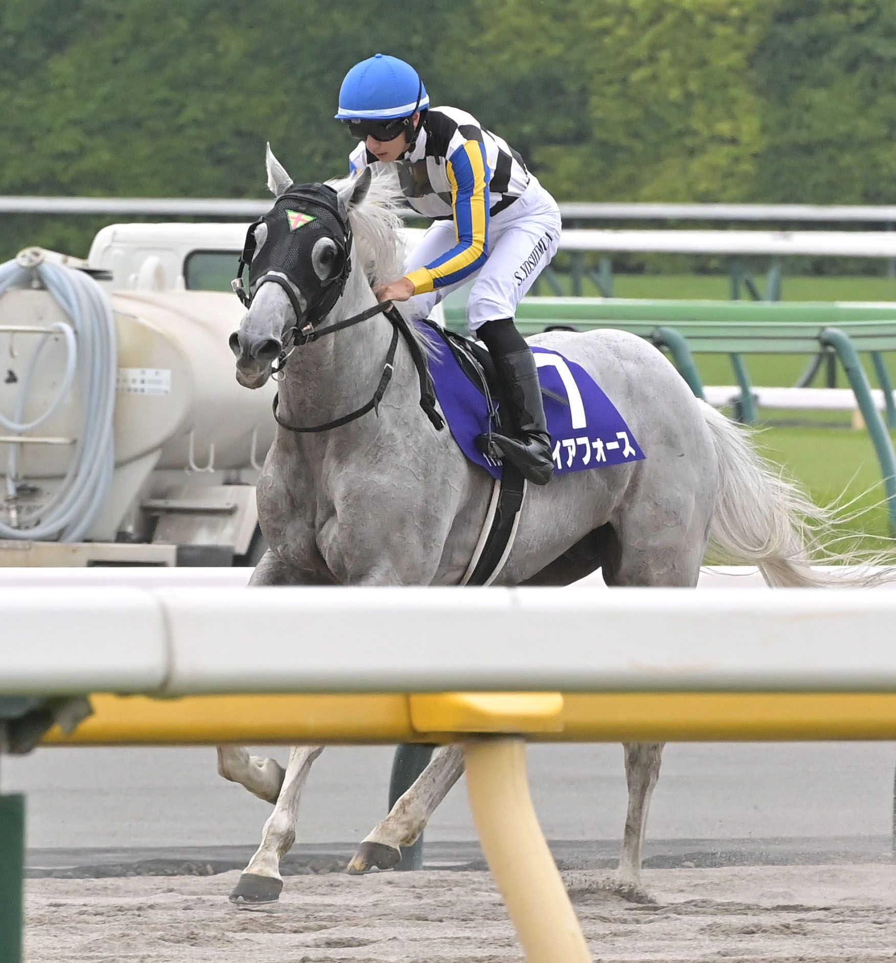 【安田記念】ガイアフォース　惜しくも２着　１９歳吉村「いい位置で競馬できた」最少年Ｇ１制覇あと一歩