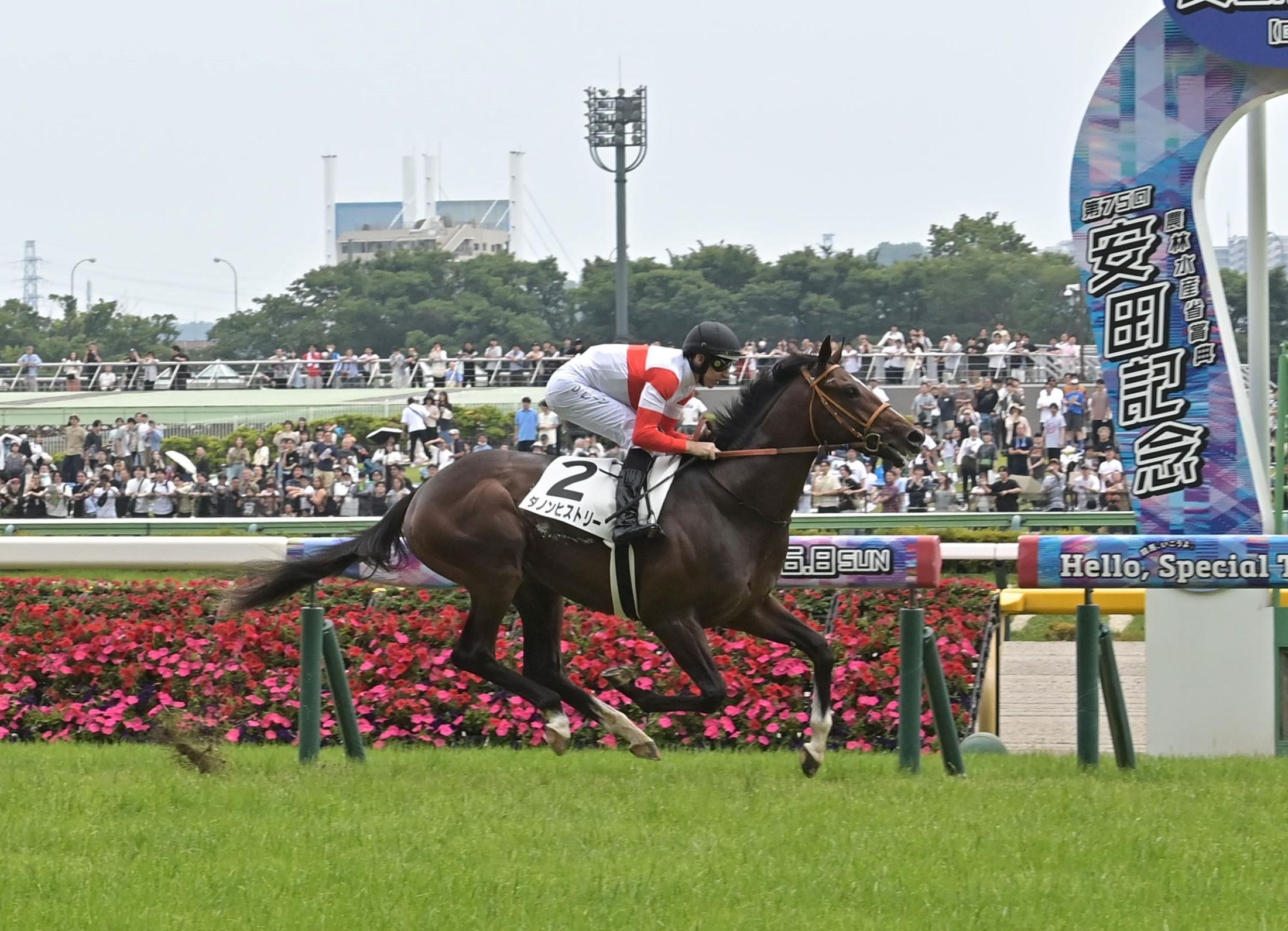 【新馬戦】ダノンヒストリー　１番人気に応えて２馬身半差快勝　レーン「いい勝ち方だった」
