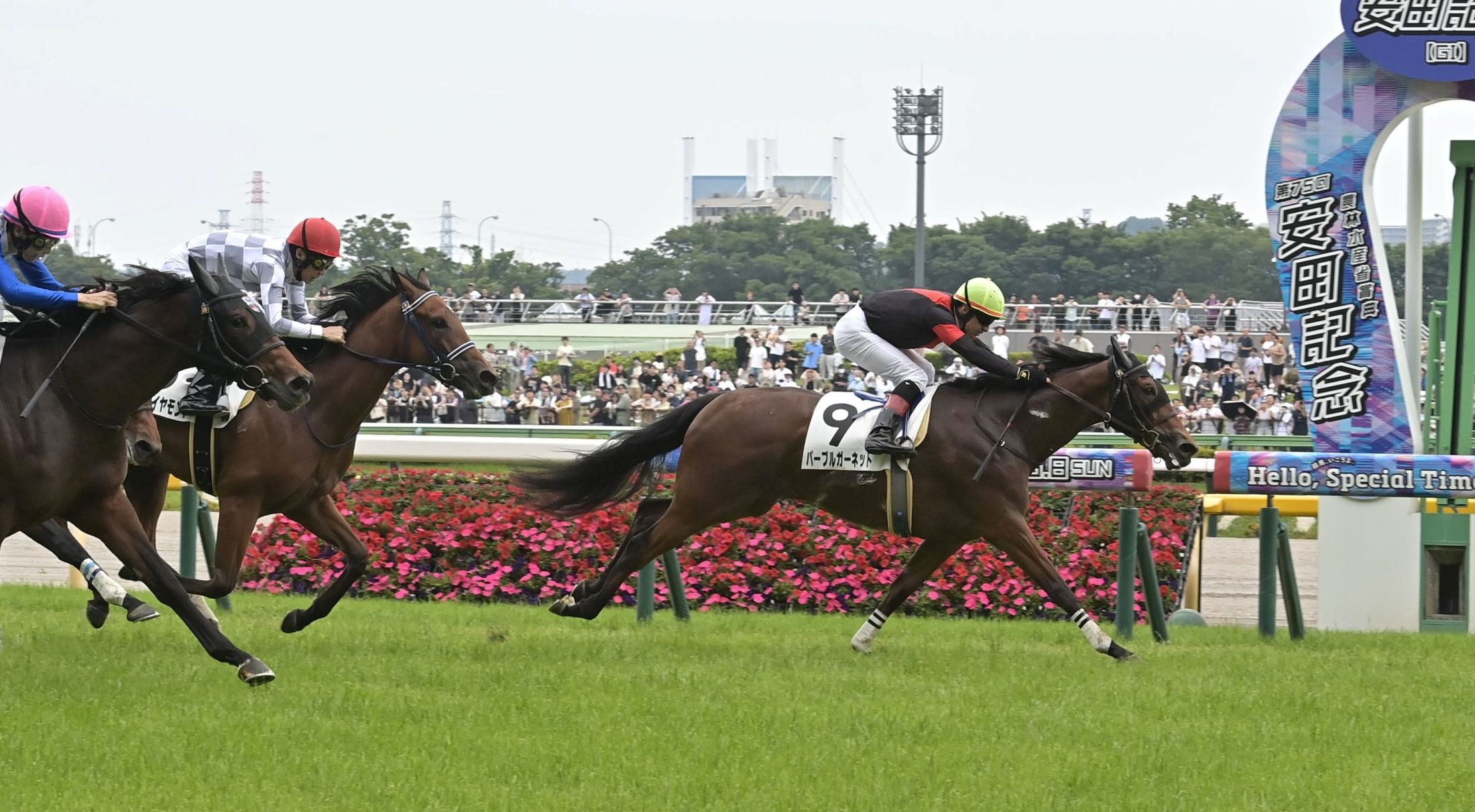 【新馬戦】パープルガーネット　イン抜け出しＶ　ルメール「千六くらいまでは行けると思う」