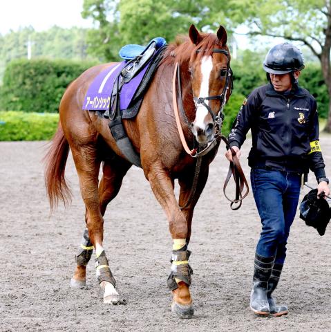 【宝塚記念考察】今年から2週間繰り上げローテで浮上した4歳菊花賞馬　日経賞3着→天皇賞・春パス→状態万全