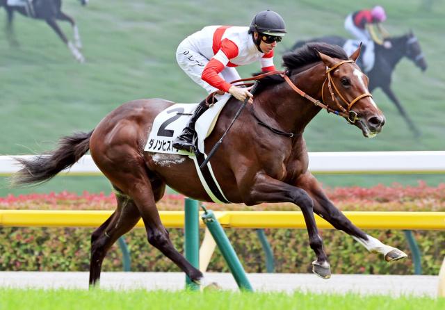 【東京5R・2歳新馬】3億9000万円馬"歴史的"圧逃デビュー　クロワデュノールの新馬戦記録に0秒1差