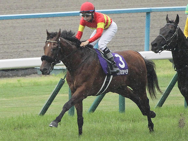 夏競馬もおまかせ競馬サイン法則3冊セット！宝塚記念のサインはこれでした 楽天市場】競馬 サイン 本の通販