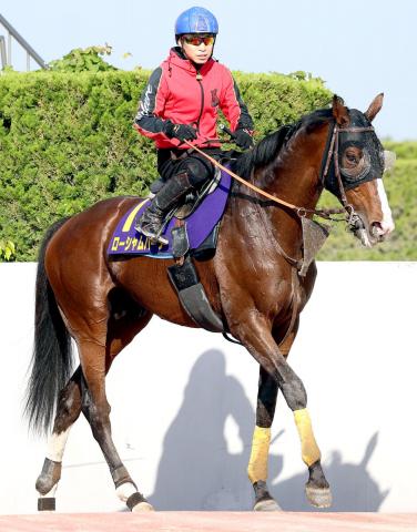 【宝塚記念・山下の特注馬】ポテンシャルを秘めるローシャムパーク　栗東での意欲的な調整に好感