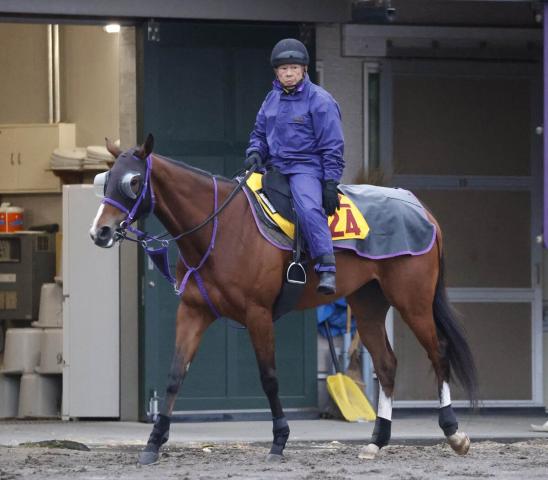 【函館SS・角田の特注馬】モリノドリームは5勝全てが洋芝!　不利のあった前走から巻き返し十分だ