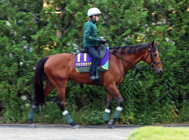 【宝塚記念】G1・3勝目を目指すベラジオオペラを後押しする2つの「追い風」陣営「なかなかいないタイプ」