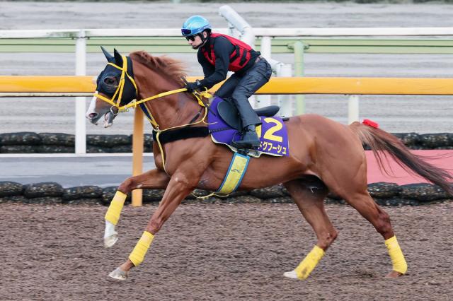 【宝塚記念】復活狙うイクイノックス、ドウデュース世代の菊2着馬は道悪歓迎　陣営「多少、渋ってくれた方がいい」
