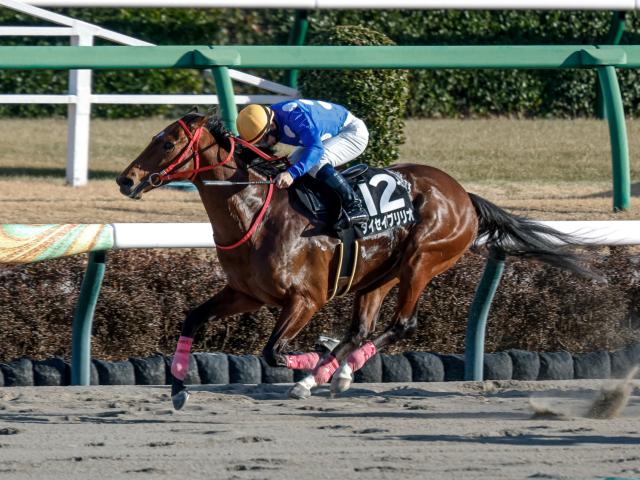 【先週のJRA抹消馬】短距離戦で計4勝のタイセイブリリオ、21年ラジオNIKKEI賞の2着馬ワールドリバイバル