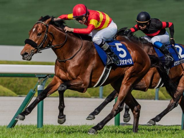 【宝塚記念】意外にも未勝利 社台ファームが豪華5頭出しで初制覇なるか
