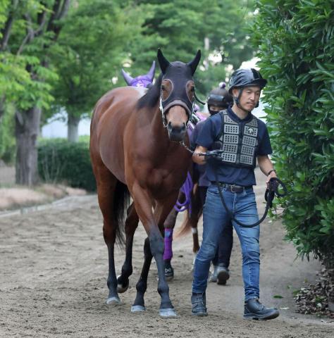 【注目馬動向】安田記念4着のブレイディヴェーグは放牧へ　宮田調教師「いろんなプランが出てくると思います」