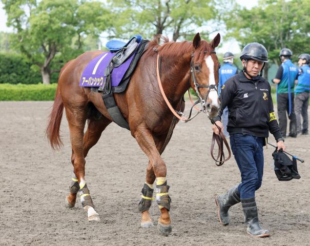 【宝塚記念】アーバンシックは2本登坂して好気配　武井調教師「力強い走り」2つ目のG1奪取へ