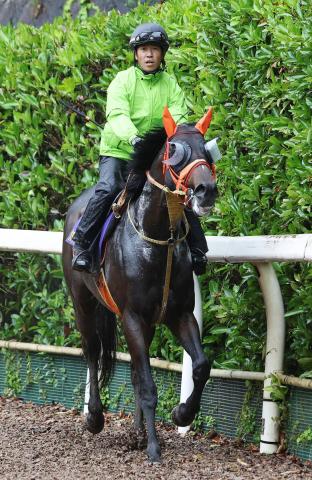 【宝塚記念】天皇賞・春3着のショウナンラプンタは前走以上の状態　高野調教師「むしろ今回の方がいい」