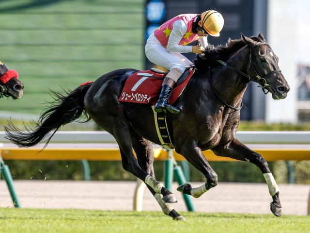 【東京JS予想オッズ】ジューンベロシティが予想1番人気