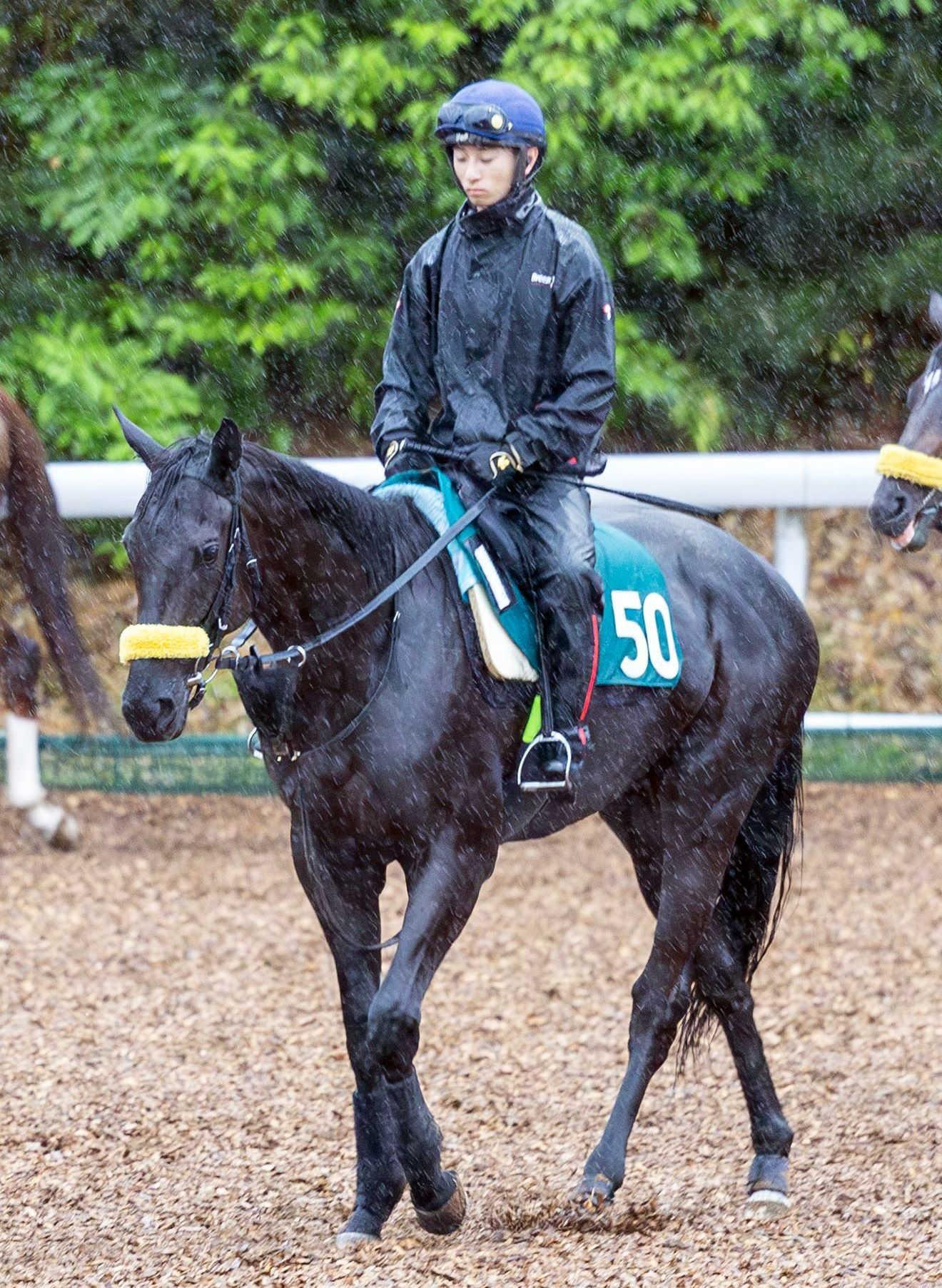 【新馬戦】ブラックコーラル　デビュー戦へ「順調に来ています」　父はキタサンブラック