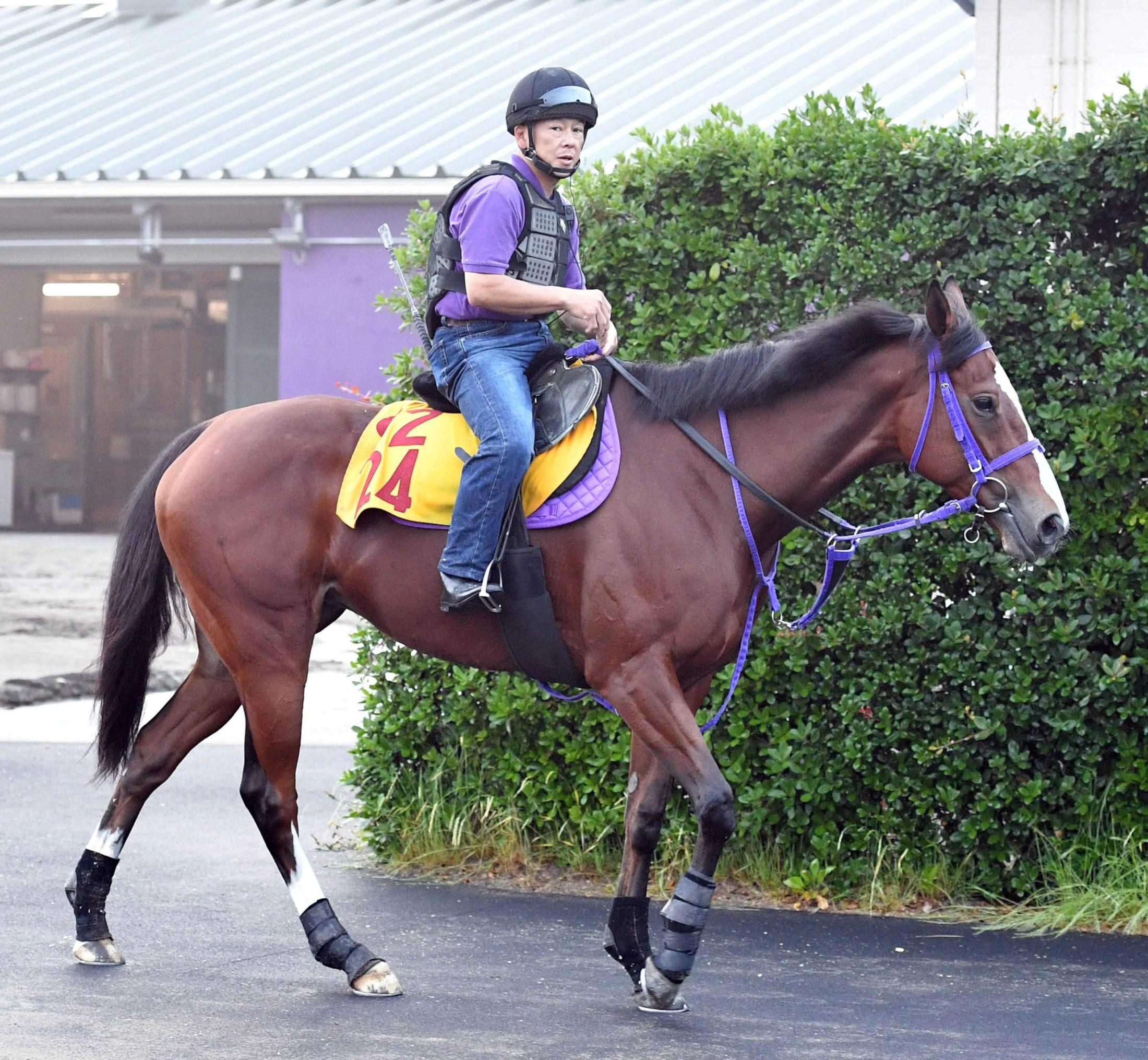 【函館スプリントＳ】モリノドリーム　得意舞台でまた勝つ　５勝全て北海道