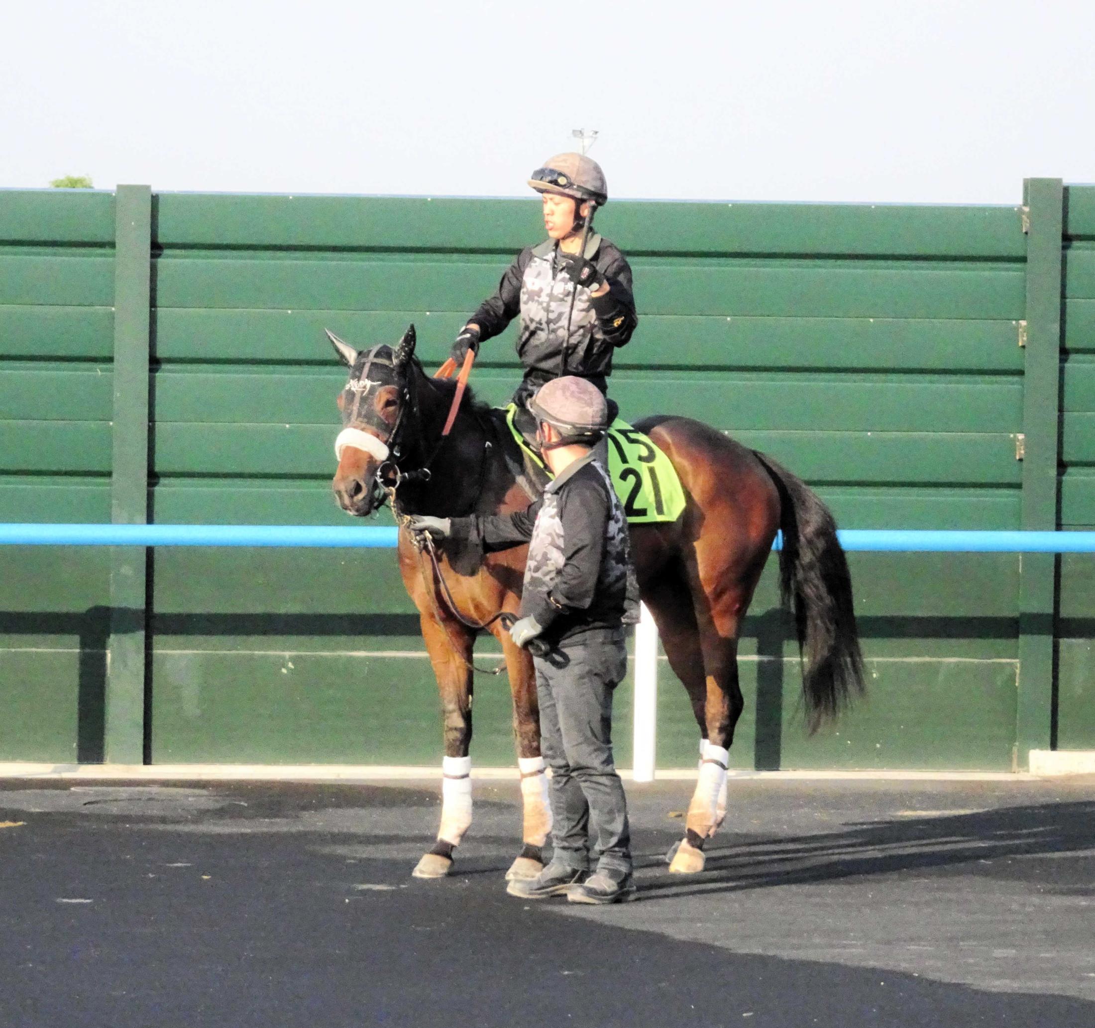【新馬戦】カイショー　北の一番星を狙う　近親にワールドプレミアやヴェルトライゼンデ