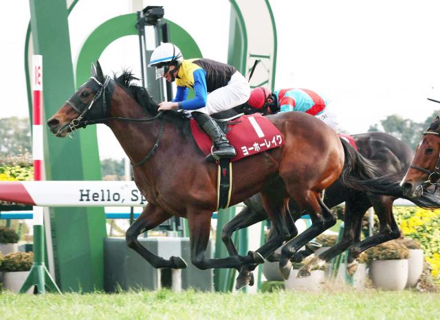 【宝塚記念】ヨーホーレイク、子ども計44勝の偉大な母にG1タイトルを　11年連続でディープインパクトを配合　金子真人オーナーの思い入れ強い