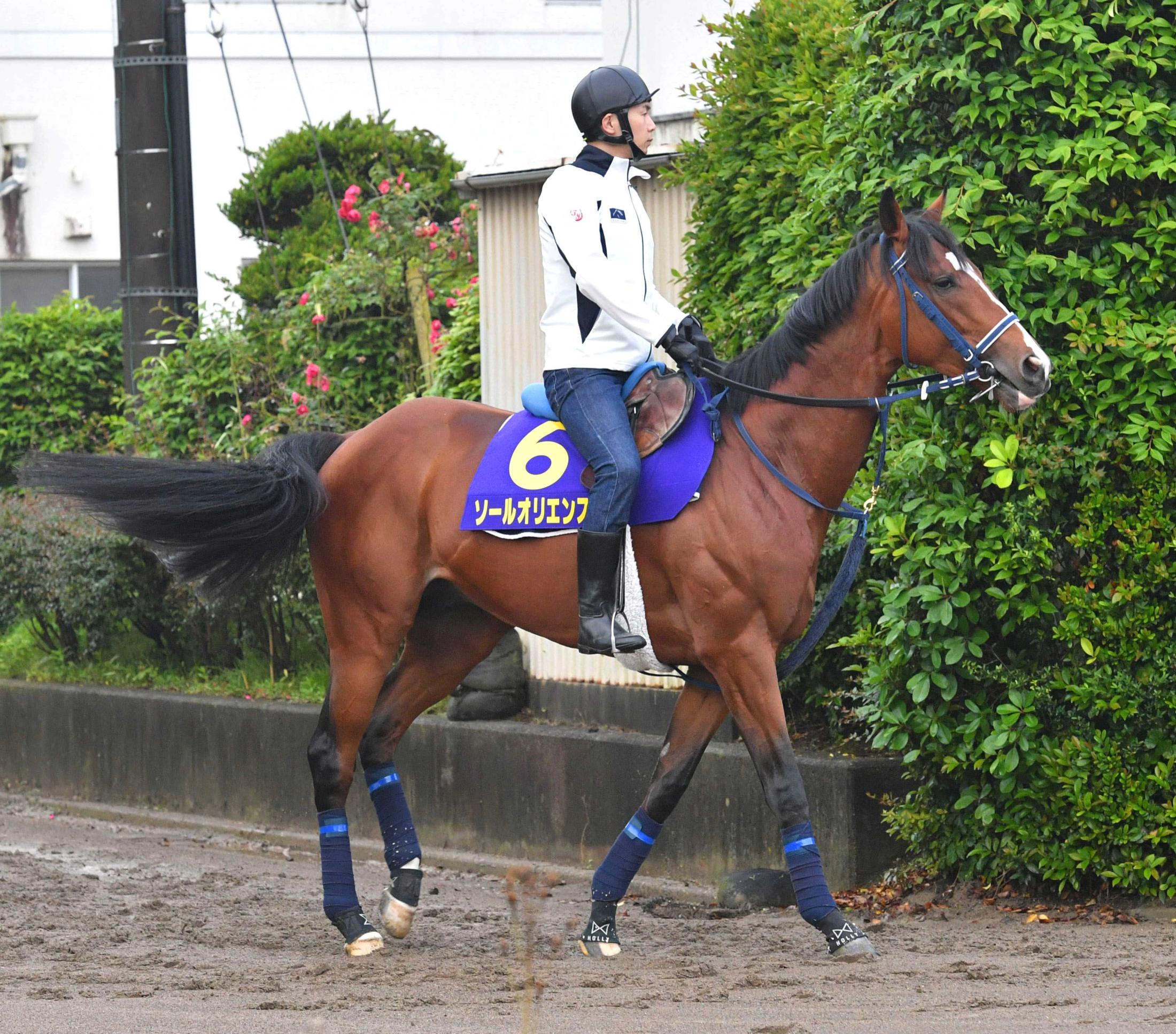 【宝塚記念】ソールオリエンス　再輝　昨年２着２３年皐月賞馬の意地見せる　５歳完成期復活Ｖへ