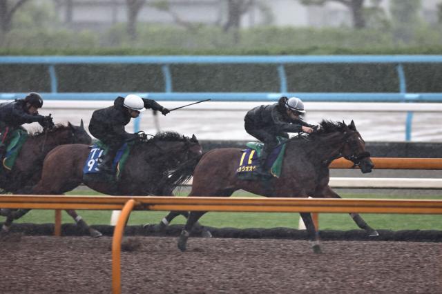 【宝塚記念】ファン投票1位のベラジオオペラは3頭併せで鋭伸　横山和生騎手「G1の舞台に、また一緒に立てることが楽しみ」