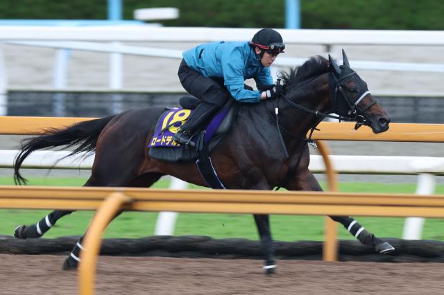 【宝塚記念】大阪杯2着のロードデルレイはラスト11秒1と軽快　中内田調教師「完成に近付いてきています」