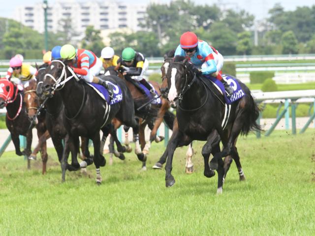 【宝塚記念過去10年傾向】1番人気で勝つには相当な実力必要!? ヒモには人気薄を絡めるのが吉