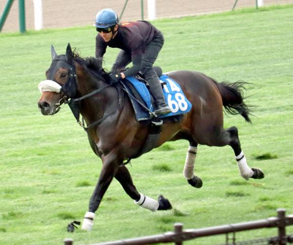 【函館スプリントS】ダート3連勝のドンアミティエは芝で抜群の伸び　今野調教師「スタートやスピードは引けを取らない」