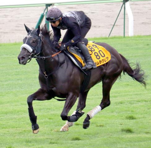 【函館スプリントS】ナムラクレアは5年連続重賞制覇を目指して函館参戦　長谷川調教師「ひとつでも記録になれば」