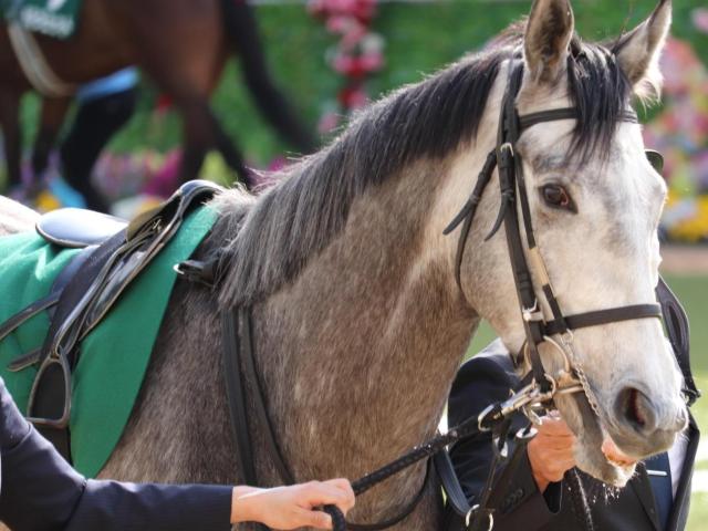米子S史上唯一の3歳馬V スマイルカナの一戦