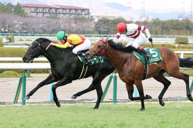 23年の阪急杯を勝ったアグリが競走馬登録を抹消　今後は乗馬へ