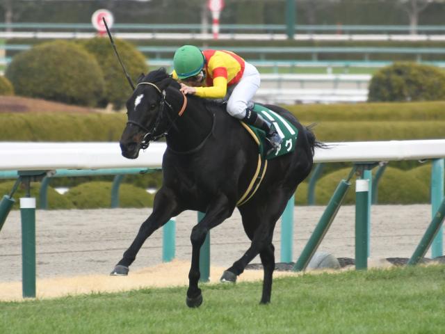 アグリが登録抹消・乗馬転向へ 23年の阪急杯覇者