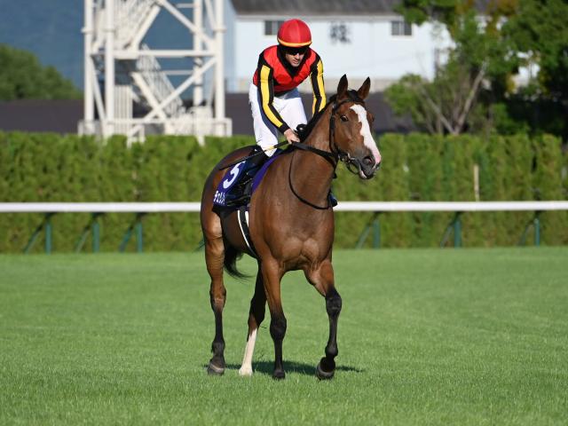 【有力馬動向】チェルヴィニアが桜花賞以来のマイル参戦…好走の鍵は？/馬三郎のつぶやき