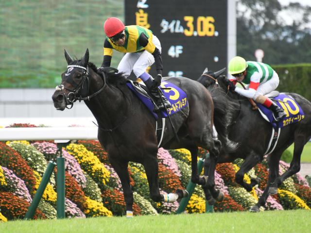 ワールドプレミア産駒が初勝利 現役時代に長距離GI・2勝の活躍