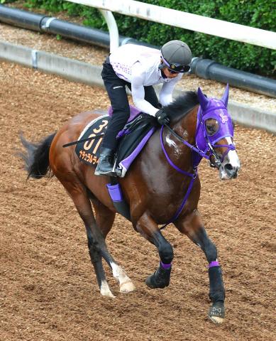 【東京ダービー】3冠初戦でライバル圧倒のナチュラルライズ　「血統的に距離は大丈夫」と伊藤圭調教師…主な出走馬談話