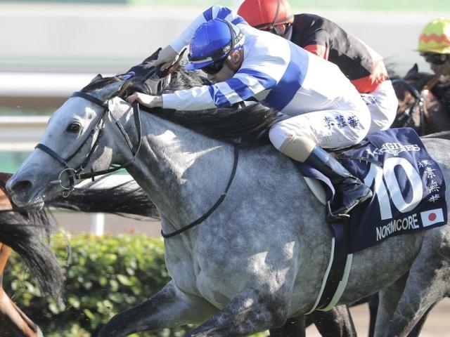 名牝ノームコアの2番仔 ドリームコアがレーン騎手で新馬勝ち狙う