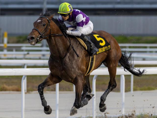 半兄はダート重賞3勝サンライズジパング オラヴィンリンナが初陣Vなるか