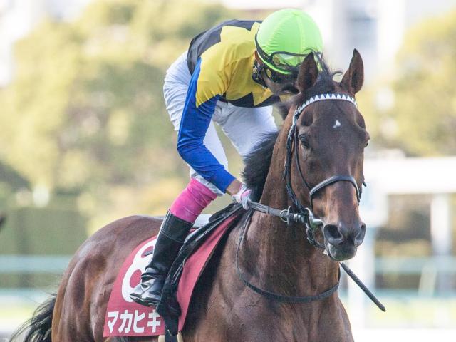 叔父は日本ダービー馬のマカヒキ 福永祐一厩舎のダイヤモンドノットが初陣V狙う