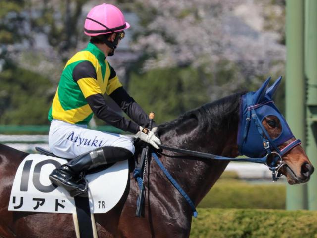 【津軽海峡特別】5億円馬のリアド 初の北海道で2年半ぶりの勝利なるか