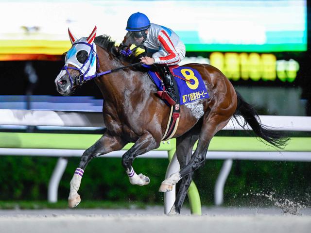 【大井・東京ダービー結果】ナチュラルライズが逃げ切って二冠達成！