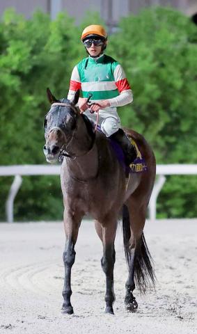 【東京ダービー】カナルビーグルは5着　最年少Jpn1制覇がかかっていた吉村誠之助騎手「少し硬さが…」