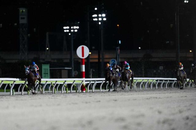 【大井競馬】東京ダービー当日の総売得金が前年比103%の49億円超え