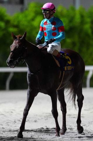 【大井競馬・11R東京ダービー】クレーキング　末脚発揮で2着　ルメール「まだ伸びしろがある」