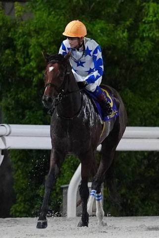 【大井競馬11R・東京ダービー】シーソーゲーム　地方馬最先着の3着　御神本「意地は見せられたかな」
