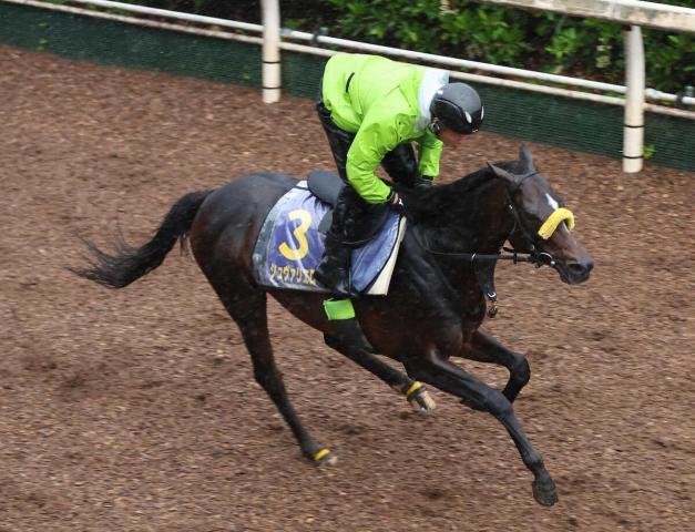 【宝塚記念】シュヴァリエローズ　坂路4F56秒2　清水久師「予定通り軽め仕上げ」