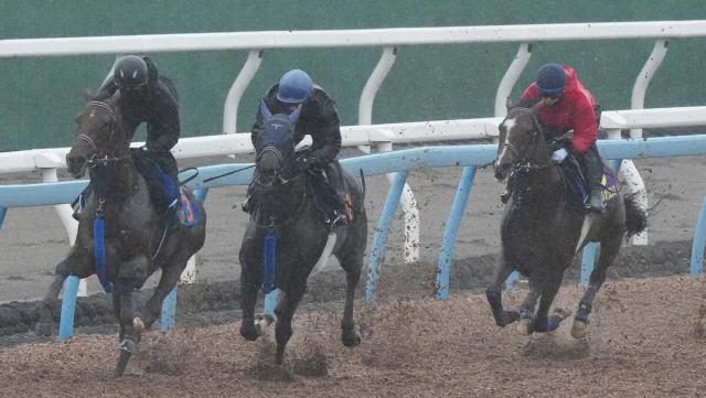 【宝塚記念】ソールオリエンス　一瞬で僚馬置き去り　手塚久師「出来は良い」