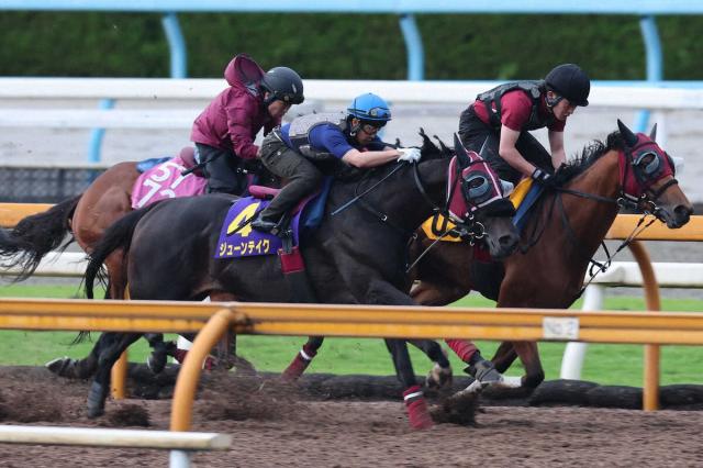 【宝塚記念】ジューンテイク　3頭併せでラスト1F11秒5　武英師も納得「いい動きだった」
